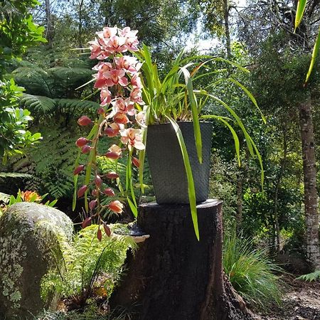 Villa Warblers Retreat Auckland Exterior foto